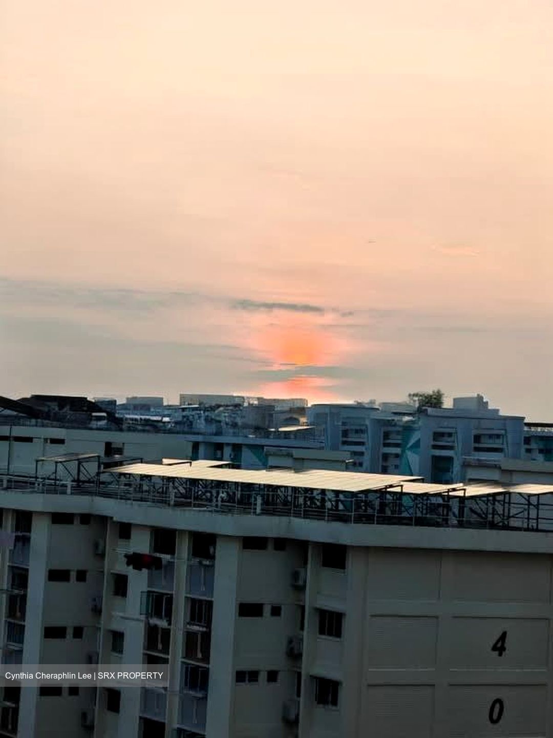 Blk 430A Bedok North Woods (Bedok), HDB 3 Rooms #546114131